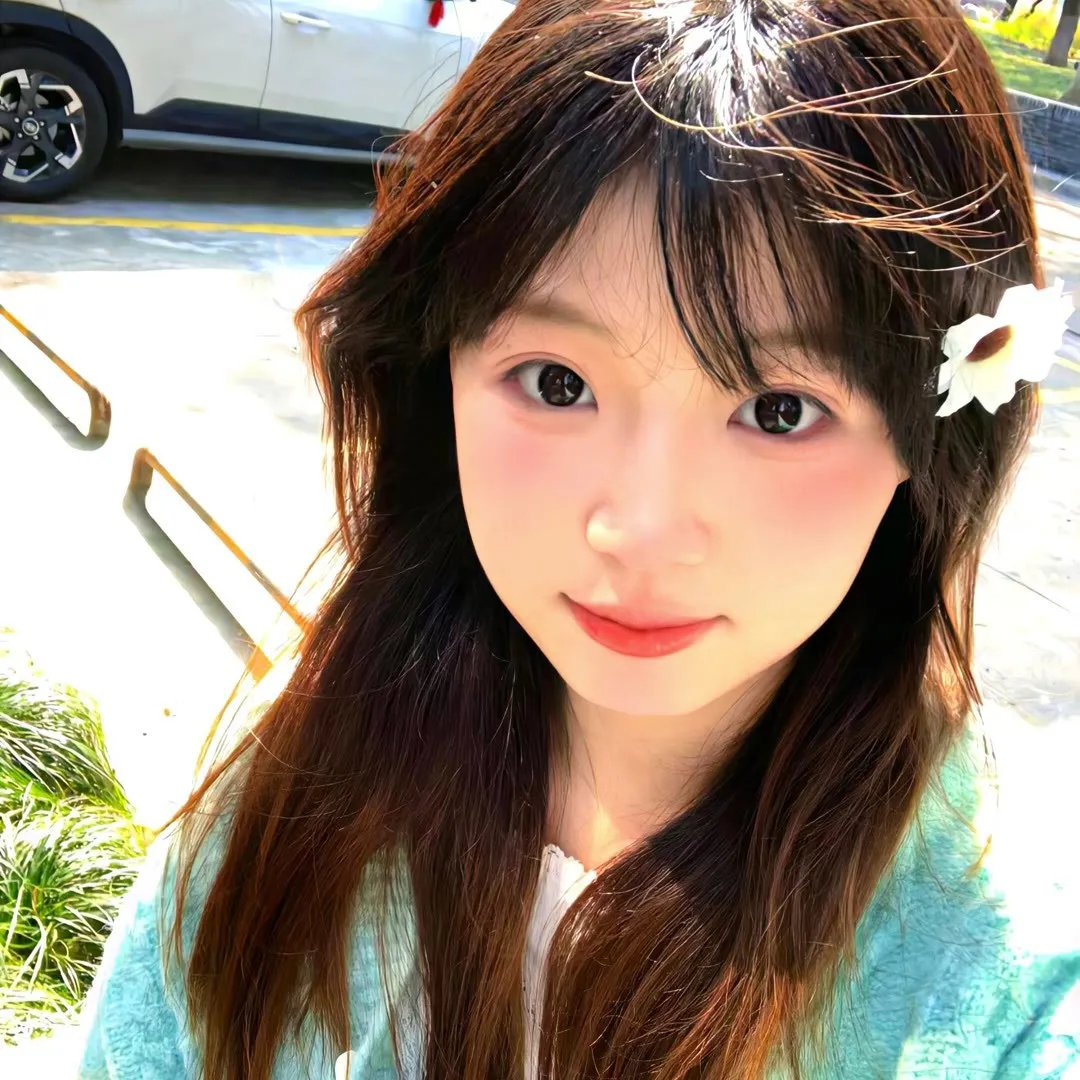 万紫千红花弄蝶