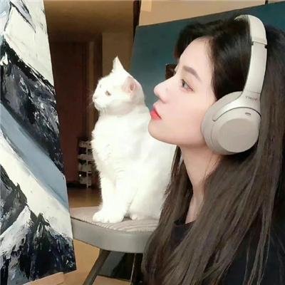 时钟机关之星